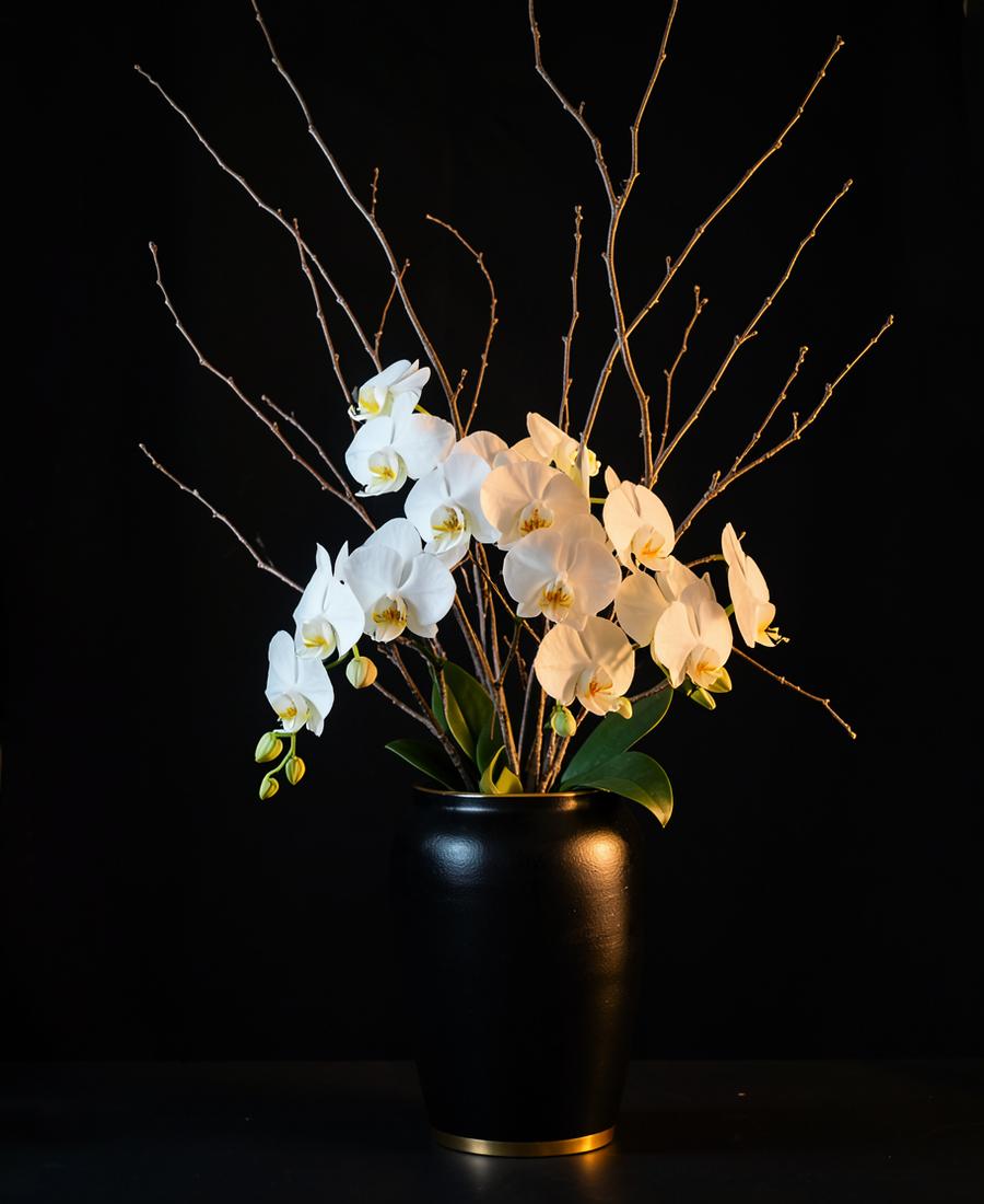 Orchid & Branch Vessel